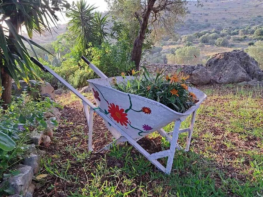 Fragosiko - Rustic Retreat In Kefalonia Argostoli  Holiday home Argostoli (Kefalonia)