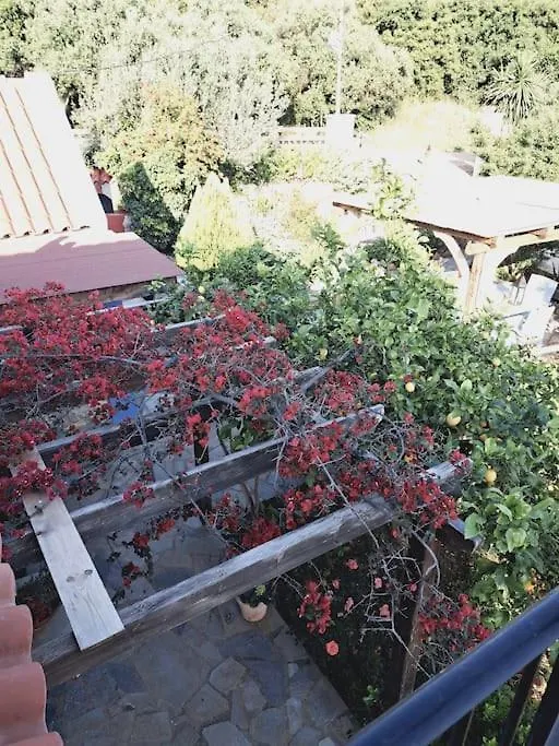 Fragosiko - Rustic Retreat In Kefalonia Argostoli  Argostoli (Kefalonia)